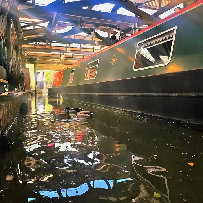 boat with ducks in dock